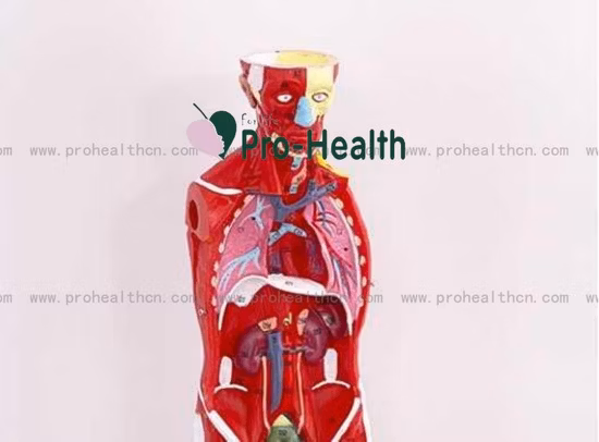 Buntes elastisches Baumwoll-Kinesiologie-Tape für medizinische Sportarten, Prepaid-Muskelzerrung